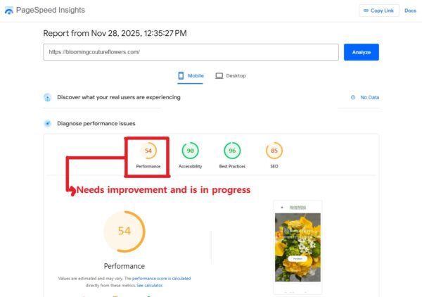 Blooming_Speed_SEO Blooming Pagespeed SEO